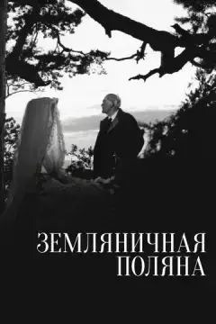Земляничная поляна